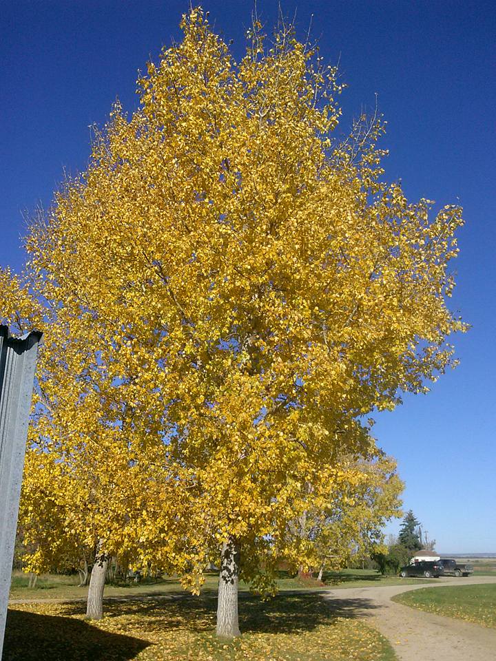 14448891_10207169072450507_4511108117756502846_n